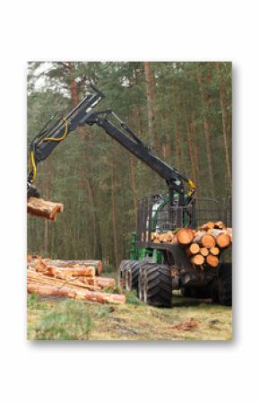 The harvester working in a forest. Harvest of timber. Firewood as a renewable energy source. Agriculture and forestry theme. 