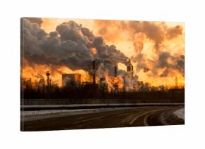 the plant with smoke and dirty air-pollution