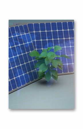 Image of world map over solar panel and plant sampling on blue background