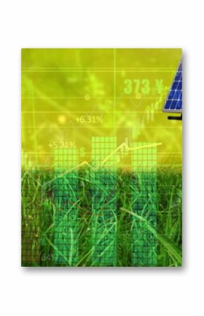 Displaying two solar panels on metal stands rising above tall grass in field, with financial graphs