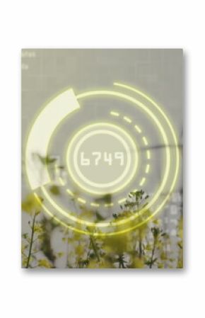 AR gauge displaying readout 6749 and timecode overlays over canola field with two wind turbines