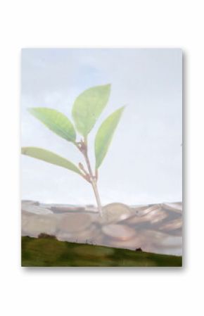 Sprouting green seedling from pile of coins on grassy hill under cloudy sky, with wind turbine