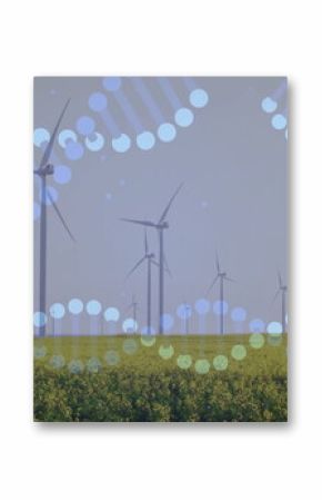 Displaying white wind turbines standing across canola field on farmland, with DNA helix graphics