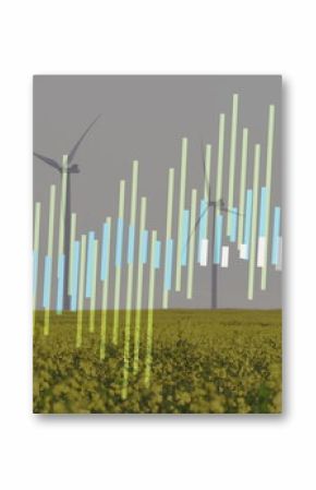 Displaying translucent bar chart graphic floating above yellow flowering crops with wind turbines