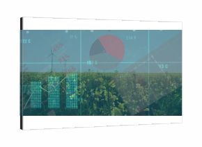 Yellow-flowering vegetation presenting wind turbines in farmland, featuring pie and bar graph data