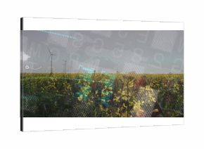 Floating digital HUD overlays hovering over yellow flowering field at farm, with wind turbines