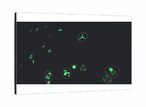 Floating green icons in digital space, with wind turbine, faucet, recycling, nuclear hazard symbols