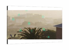 Featuring tall palm tree arching above solar streetlights and rooftops, showing green energy icons