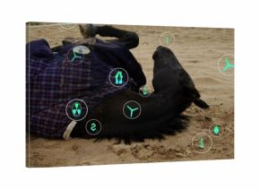 Dark brown horse wearing checked blanket lying in sandy paddock, with overlaid digital energy icons