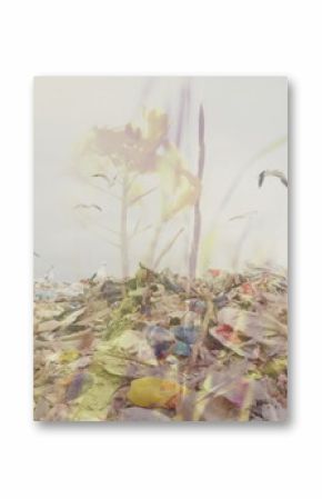 Image of grass moving over waste disposal site