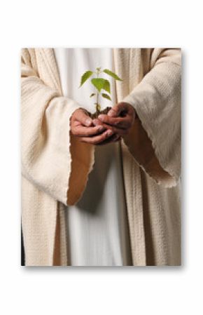 Jesus hands holding a plant