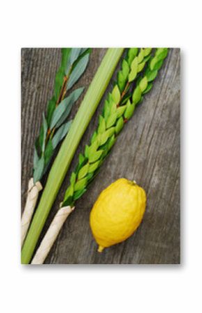 Lulav and Etrog