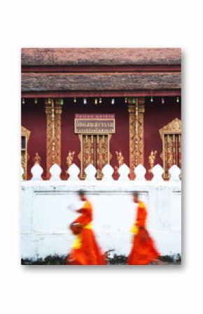 Dawn procession of monks receiving alms from townspeople in Luang Prabang. Laos