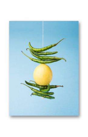 lemon chilies hanging - Indian superstitious lemon and green chillies tied with thread and tied on doors at home or shop to avoid any bad fortune also known as totka or nazar battu  