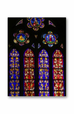 Stained Glass of branches in Cathedral of Leon, Spain