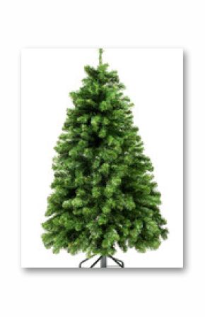 Green Christmas tree on white background