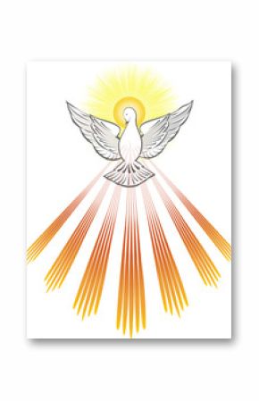 Holy Spirit symbol dove with halo and seven rays of fire, symbols of the gifts of the Holy Spirit. Abstract vector illustration