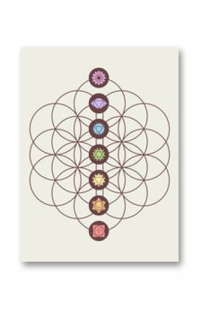 Chakra icons on flower of life modern design