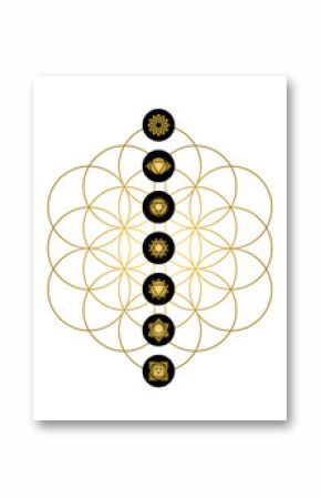 Modern yoga design chakra icons in gold color