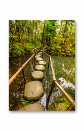 Stepping stones in Tenjuan garden at Nanzen-ji, a Zen Buddhist Temple in Higashiyama District, Kyoto, Japan. Vertical shot.