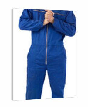 Portrait of a mechanic