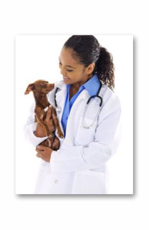 Veterinarian