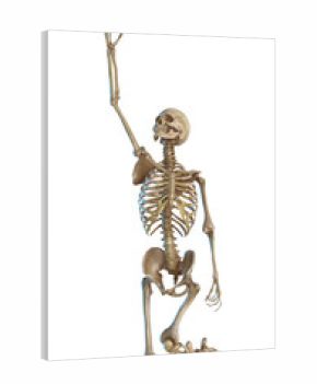 skeleton praying