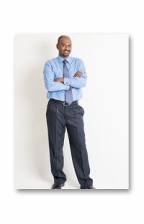 Indian businessman portrait