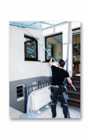 professionelle vordach reinigung