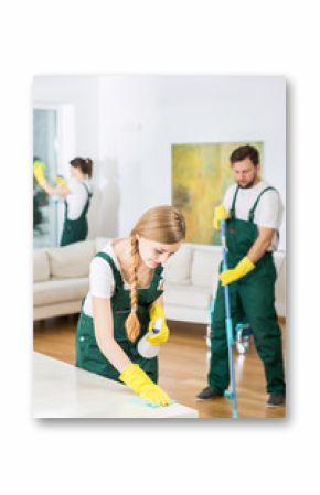 Cleaning company and spacious living room