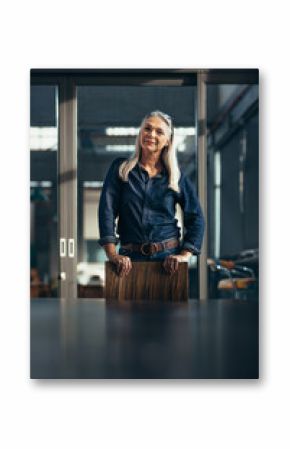 Portrait of confident senior business woman