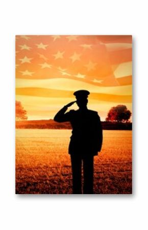 Silhouette of a soldier saluting against waving us flag and landscape with grassland with copy space