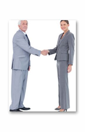 Businessman and woman shaking hands
