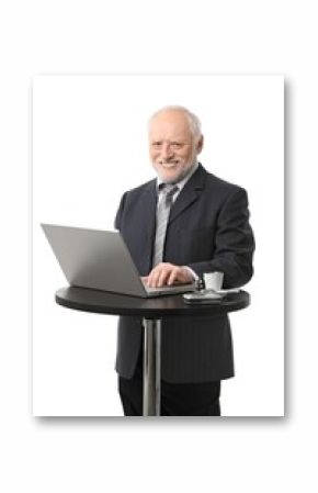 Happy senior businessman using computer