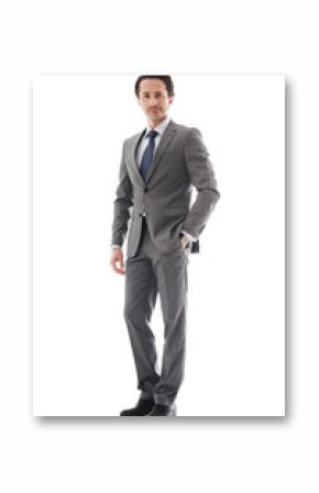 Full body portrait of business man