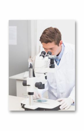 Scientist operating binocular microscope on laboratory bench with petri dish, probe and keyboard