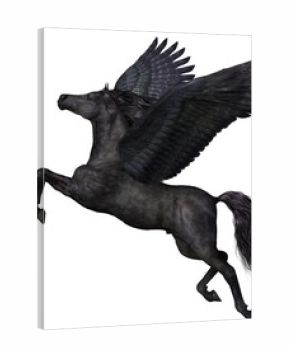 Black Pegasus Profile