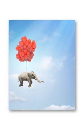 Elephant with balloons