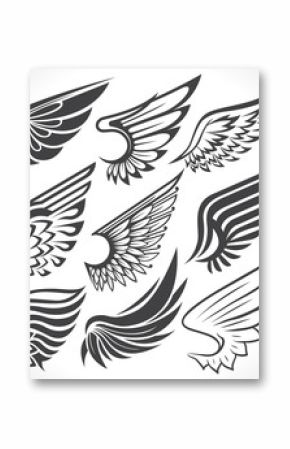 Big Set sketches of wings