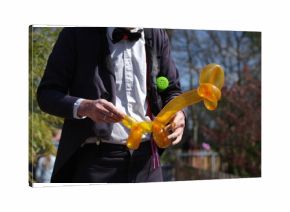 Animali palloncini
