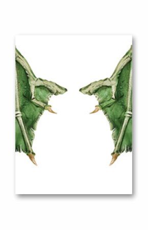 Pair of detailed, fantasy-inspired green dragon wings with a skeletal structure and clawed tips. The textured, leathery design and artistic rendering make it ideal for fantasy artwork and design