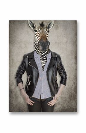 Zebra in clothes. Concept graphic in vintage style.