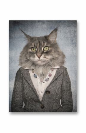 Cat in clothes. Concept graphic in vintage style.