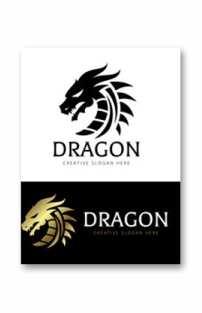 Dragon Logo Template.