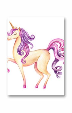 watercolor unicorn illustration, fairy tale creature, pink curly hair, cartoon animal clip art, isolated on white background