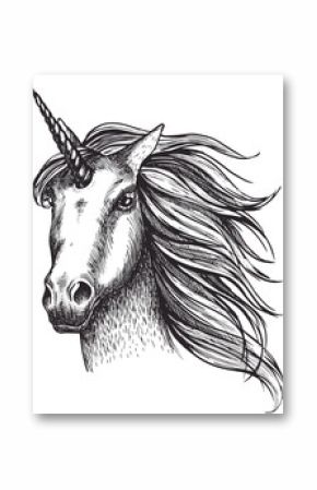 Unicorn horse vector sketch fairy tale animal head