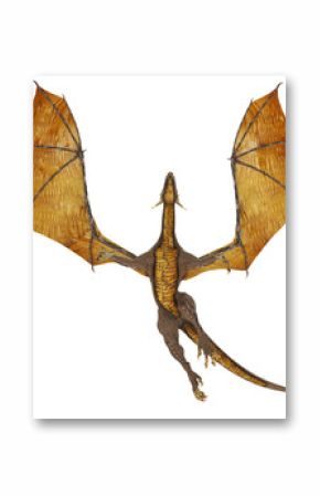 dragon passing by