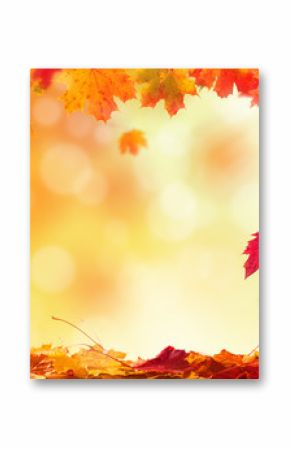 Autumn background with wooden planks