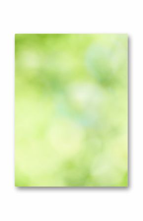 Fresh green background Bokeh