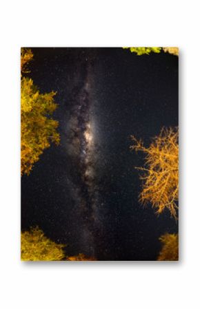 Camping under starry sky and Milky Way arc, with details of its colorful core, outstandingly bright, captured in Southern Africa. Adventure into the wild.